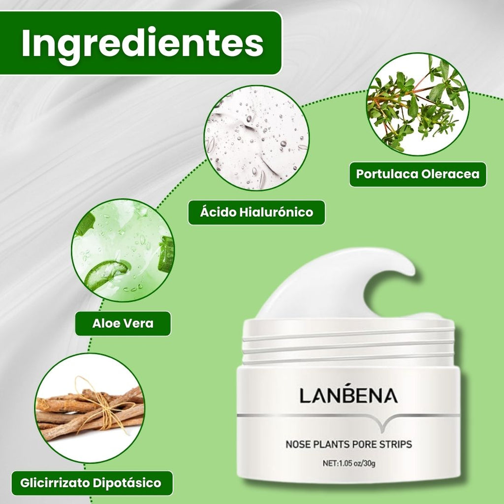 Lanbena®: Mascarilla avanzada para puntos negros